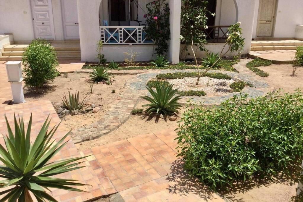 Beyt Alzohour - Casa Dei Fiori Apartment Dahab Exterior foto